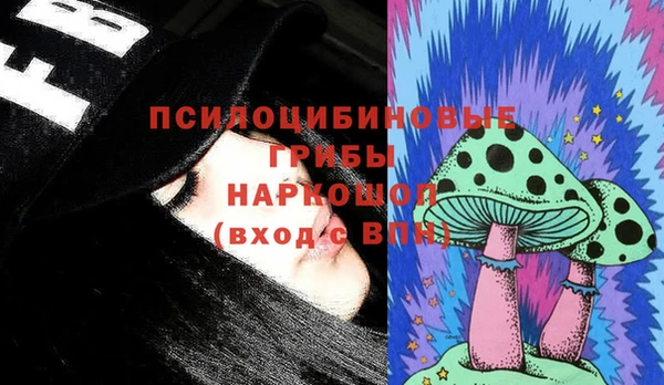 МДПВ Пестово