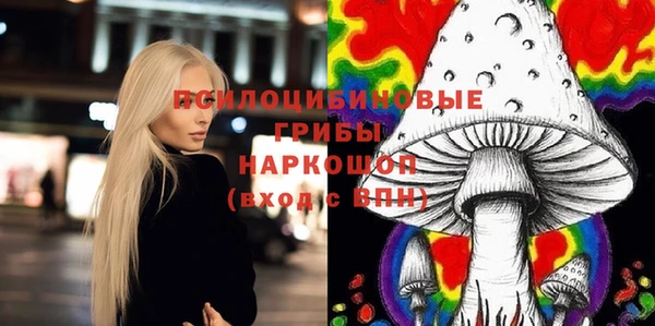 МДПВ Пестово