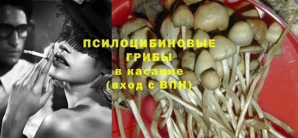 apvp Пересвет