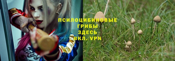 apvp Пересвет