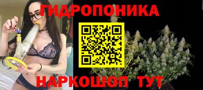 эйфоретик Нарткала