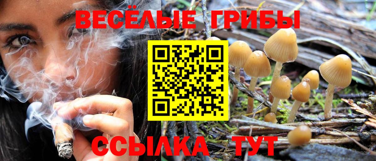 Псилоцибиновые грибы прущие грибы  Вход с VPN  Галлюциногенные грибы Magic Shrooms  Феодосия 