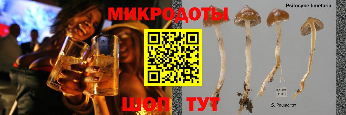 Псилоцибиновые грибы GOLDEN TEACHER Феодосия